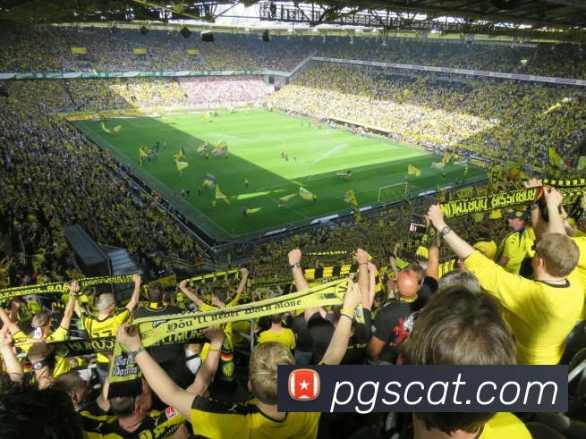 pg模拟器平台生态图